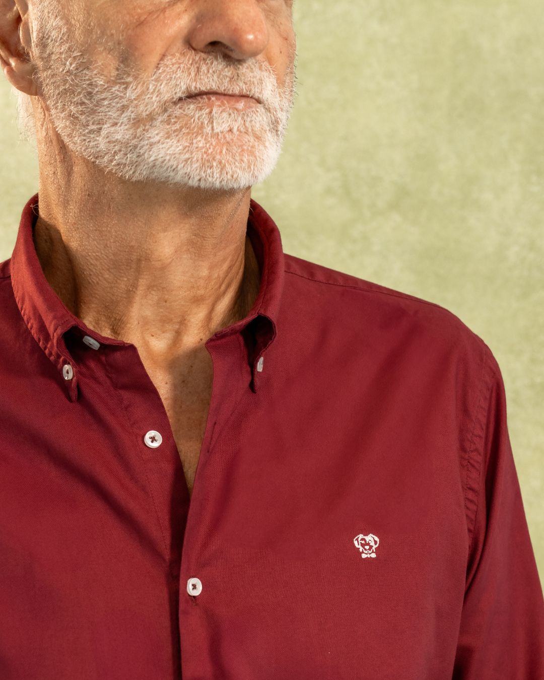 Camisa Antimanchas Oxford Vino